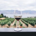 ワインとワイン畑