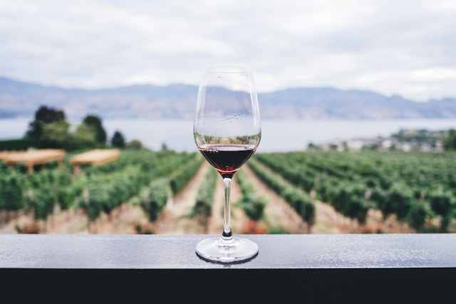 ワインとワイン畑